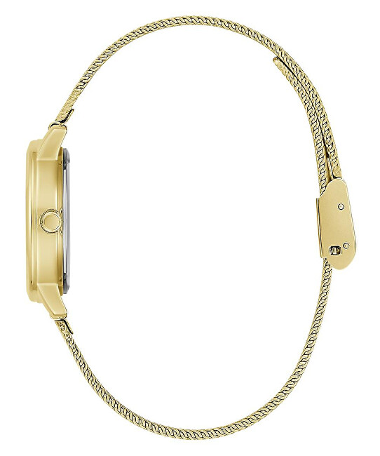 Guess Melody GW0666L1