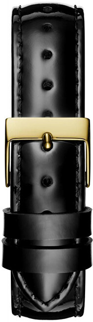 Ziggy GW0110L1