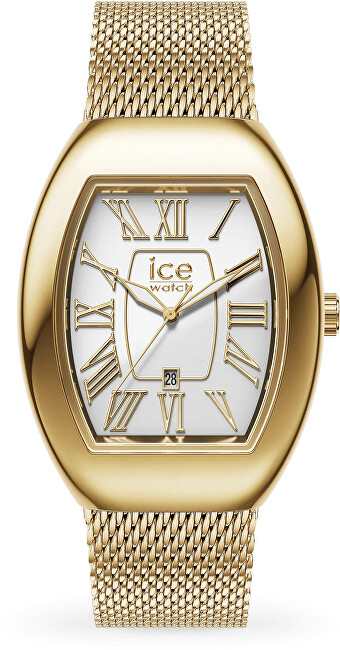 Ice-Boliday Dome 024487