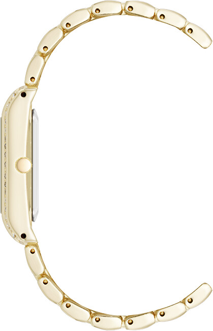 Steve Madden Analógové hodinky SM-8126CHGP analógové