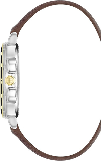 Analogové hodinky SM-9117GYTT