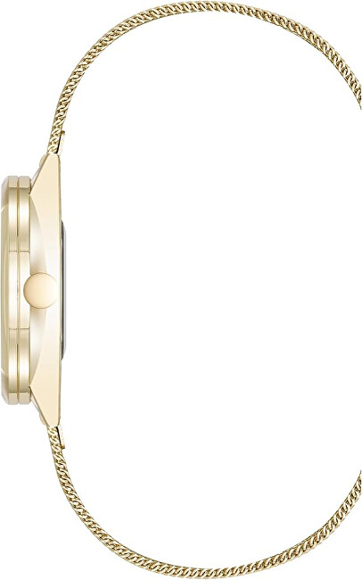 Nine West Analogové hodinky NW/3176CHGB