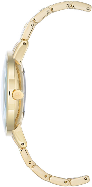 Nine West Analogové hodinky NW/2098CHGB