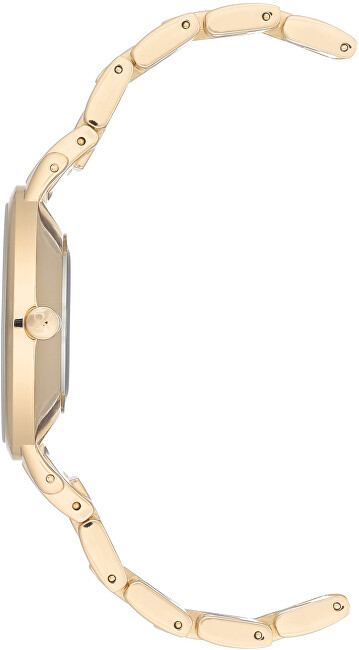 Nine West Analogové hodinky NW/2226CHGP analogové