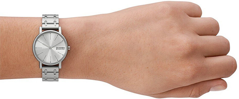 Skagen Signatur Lille SKW3123