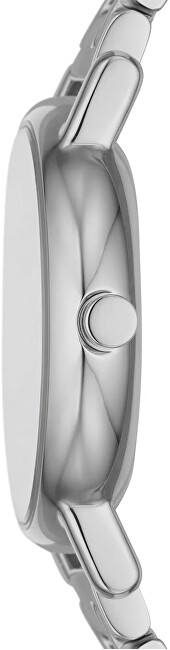 Skagen Signatur Lille SKW3123