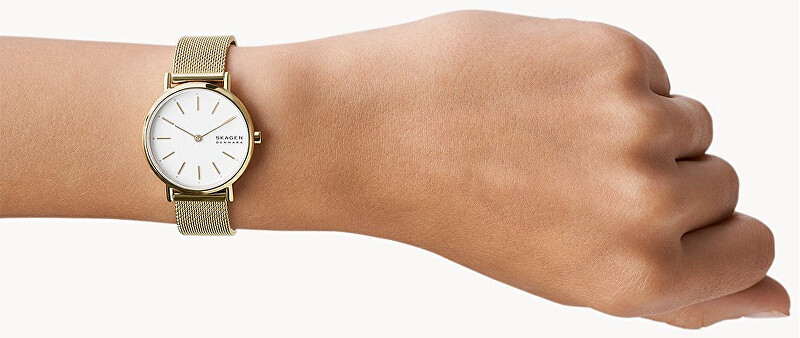 Skagen Signatur Lille SKW2693