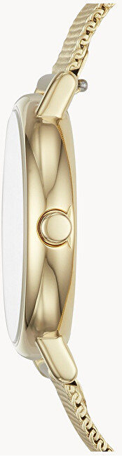 Skagen Signatur Lille SKW2693