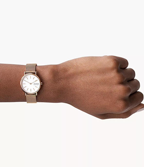 Skagen Signatur SKW2694