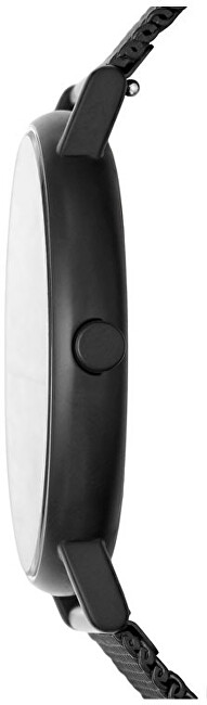 Skagen Signature SKW6579