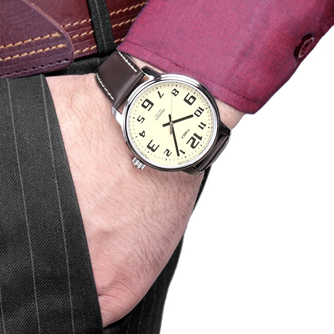Timex Easy Rider T28201 analogové