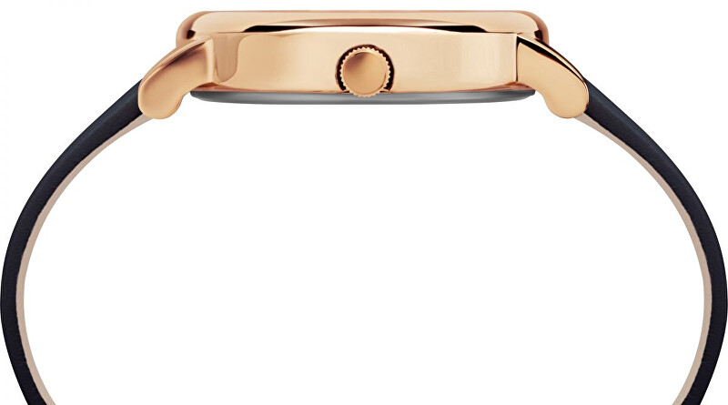 Timex Crystal Bloom Swarovski TW2R66400 analogové