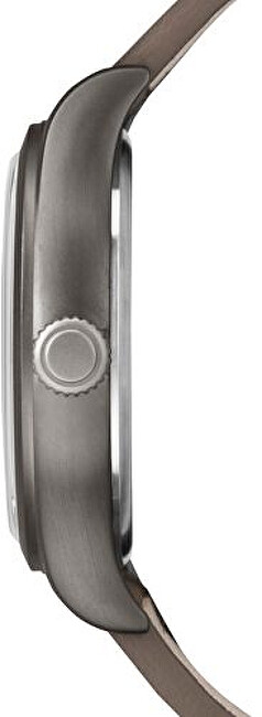 Timex Waterbury TW2P83800 analogové