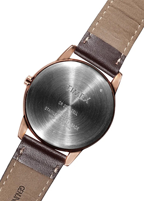 Timex Easy Reader Classic T2P563 analógové