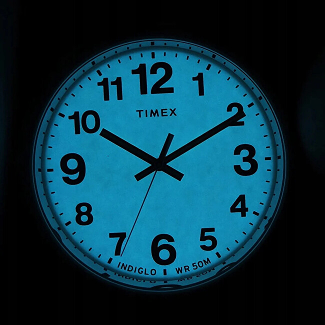 Timex Easy Reader Classic TW2V21400
