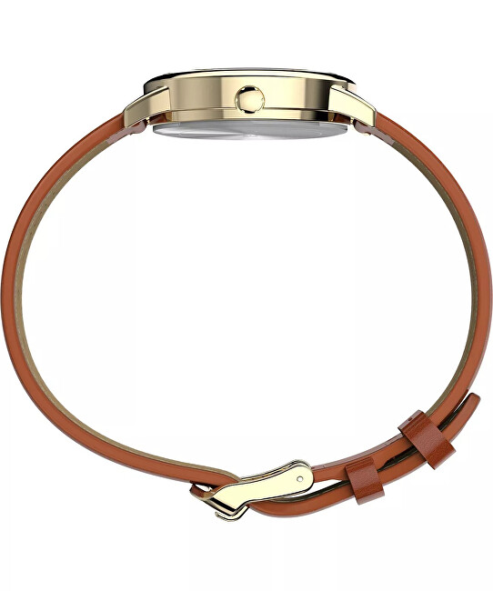 Timex Easy Reader Classic TW2W32600