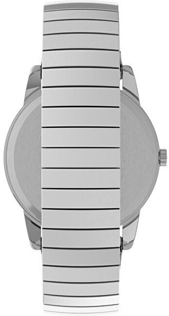Timex Easy Reader Classic TWG025400 analogové