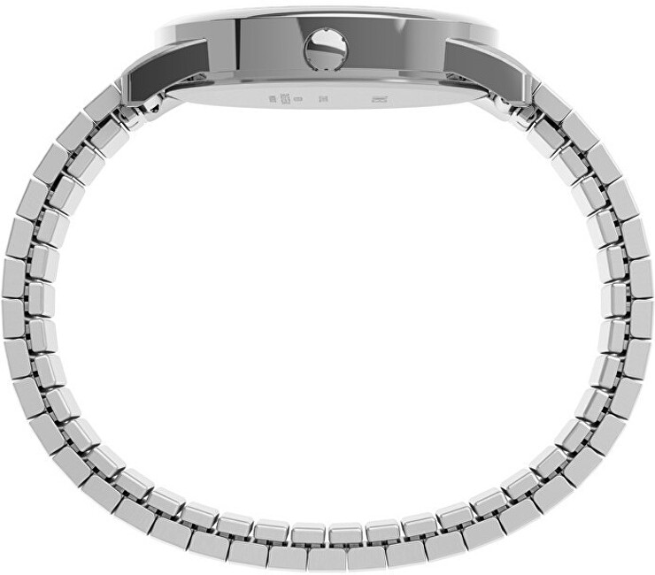 Timex Easy Reader Classic TWG025400 analogové