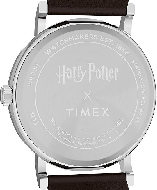 Timex Harry Potter x Weekender Gryffindor House Limited Edition TW2Y76300QY