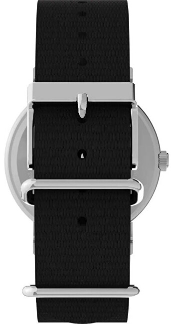 Timex Peanuts Weekender TW2Y118006B analógové