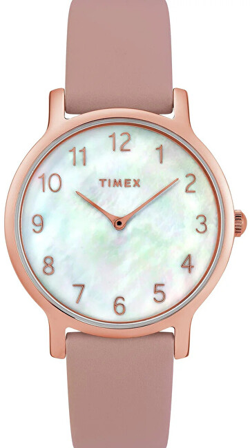 Timex Transcend TW2T36100 analógové