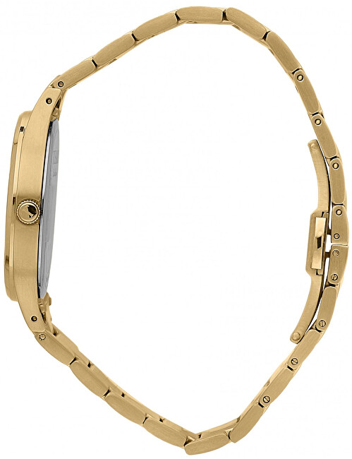Trussardi Gold Edition R2453149504