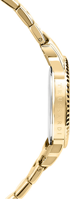 Trussardi T-Bent R2453144504 analogové