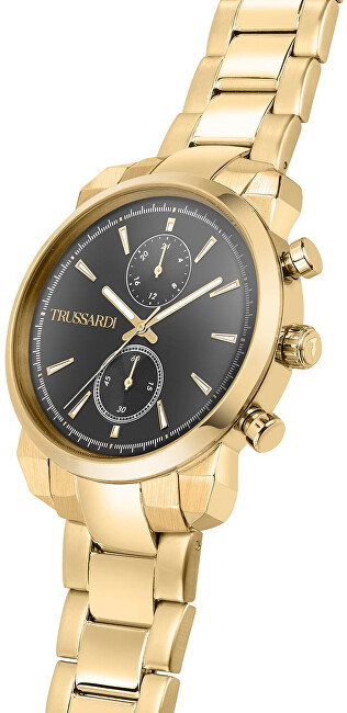 Trussardi T-City R2453154001