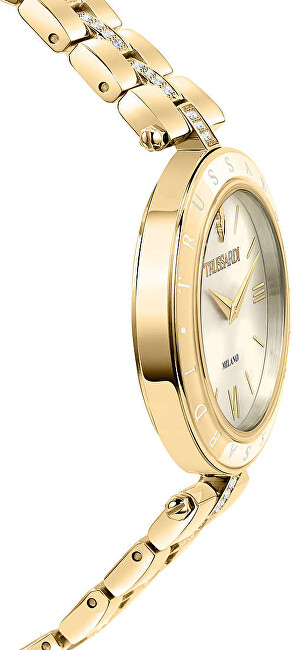 T-Shiny R2453145508