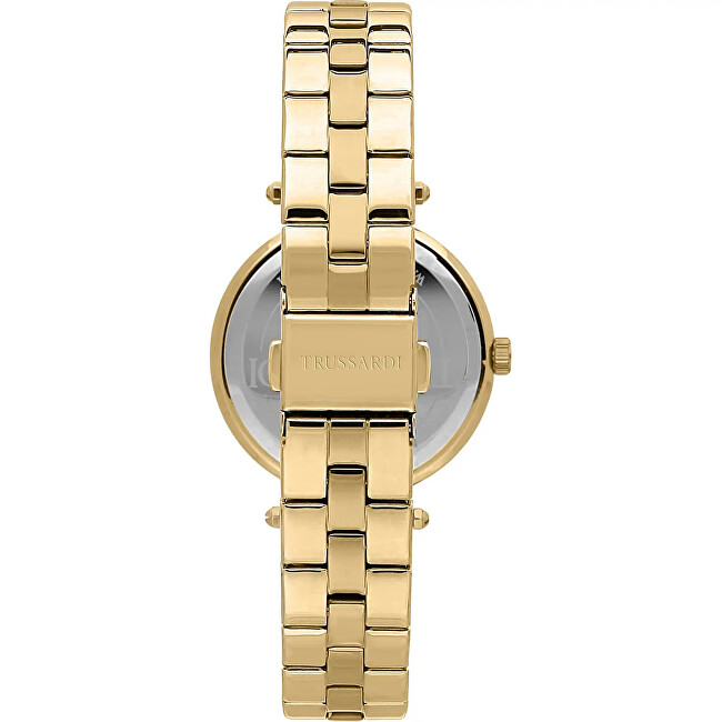 T-Shiny R2453145508