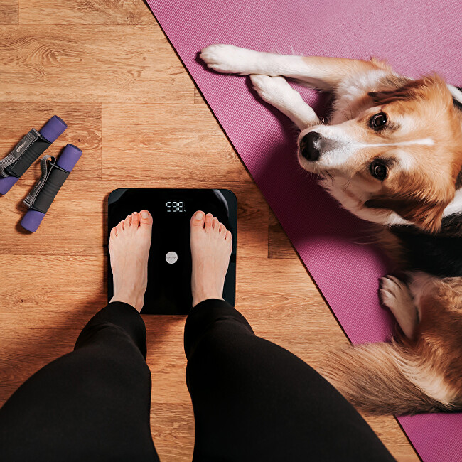 Osobní váha diagnostická Perfect Health VO5100