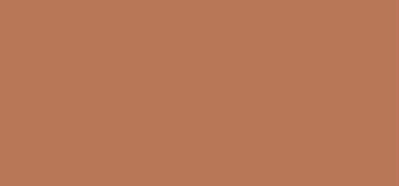 Bronzující pudr (Silk Bronzing Powder) 10 g