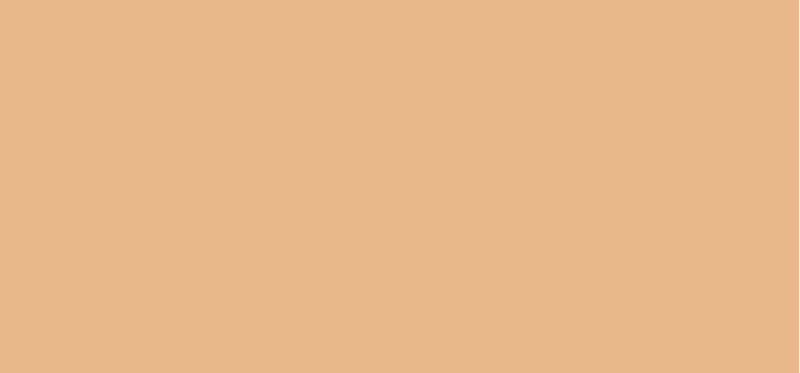 Collistar Dlouhotrvající korektor (Stick Concealer) 4 ml