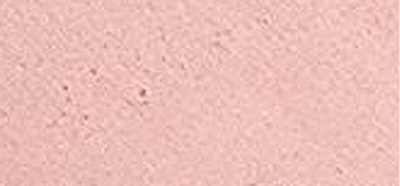 Collistar Sypký pudr Loose Powder 10 g 02 Luminous