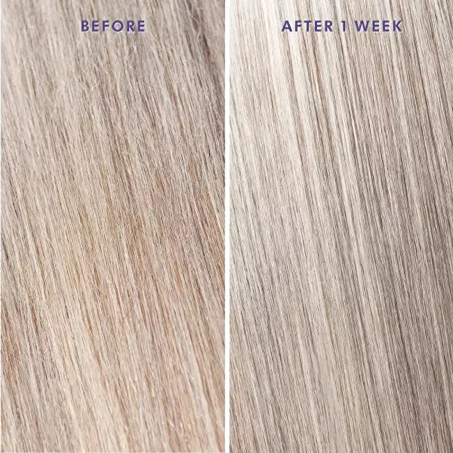 Olej s fialovými pigmenty Purple (Treatment)