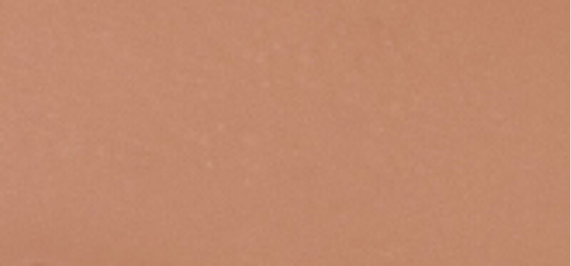 L'Oréal Paris Balzámový make-up True Match Hyaluron Tinted Balm 8 g
