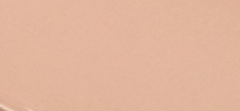 L'Oréal Paris Balzámový make-up True Match Hyaluron Tinted Balm 8 g