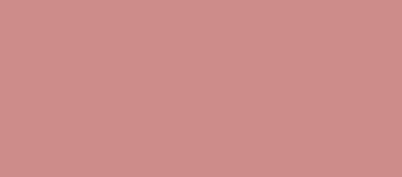 Tvářenka (Blush Accord Parfait) 5 g