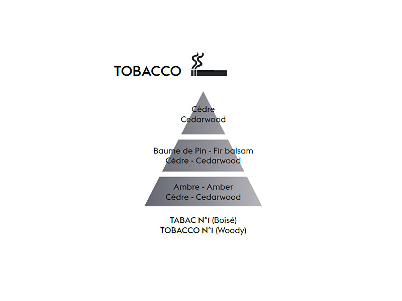 Maison Berger Paris Difuzér Cube proti zápachu tabáku Woody (Anti-odour Tobacco) 125 ml