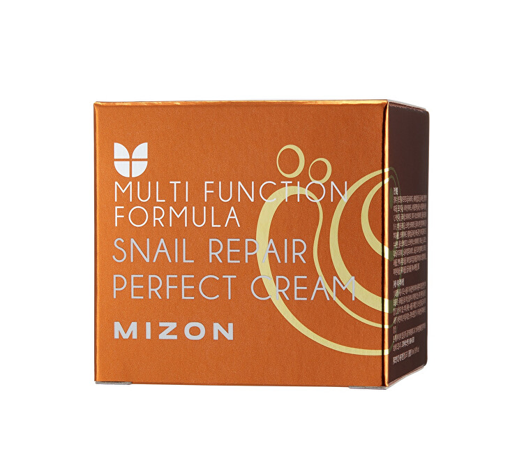 Pleťový krém s filtrátem hlemýždího sekretu 60% pro problematickou pleť (Snail Repair Perfect Cream) 50 ml