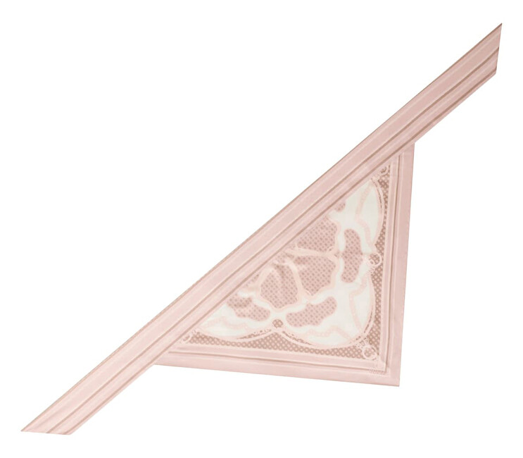 Guess Dámský šátek AW5489POL03-ROS