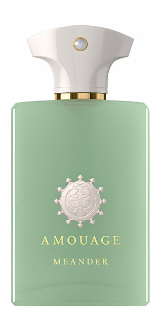 Meander - EDP