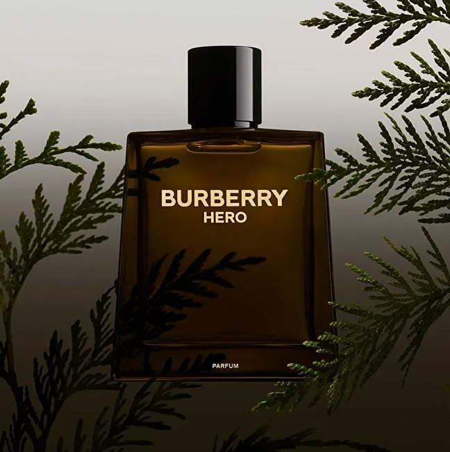 Burberry Hero - parfém
