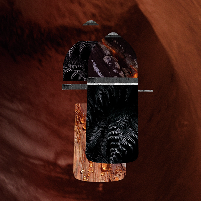 Pasha De Cartier Noir Absolu - parfém (plnitelný)
