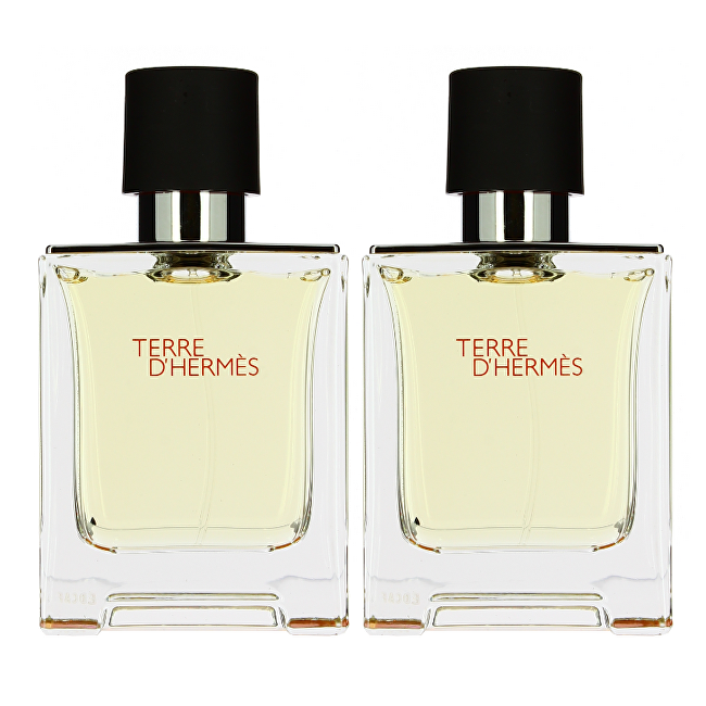 Terre D´ Hermes - EDT 2 x 50 ml