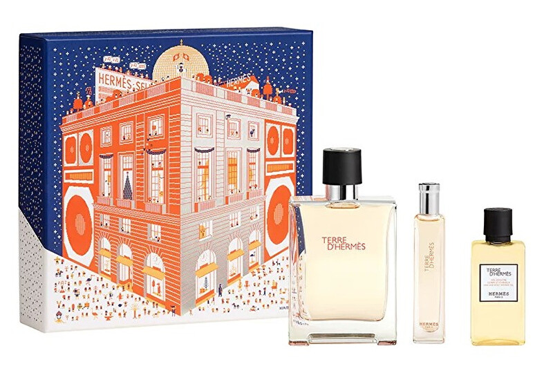 Terre D´ Hermes - EDT 100 ml + sprchový gel 40 ml + EDT 15 ml