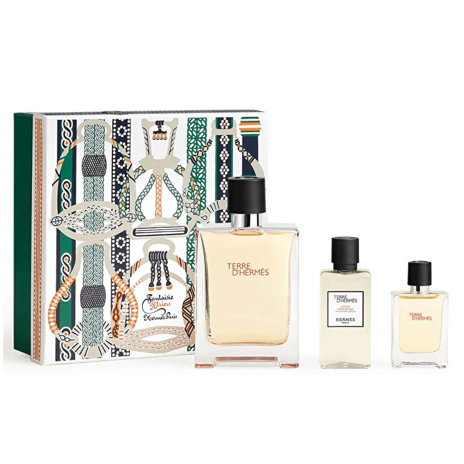 Hermes Terre D´ Hermes - EDT 100 ml + voda po holení 40 ml + EDT 12,5 ml Dárková sada