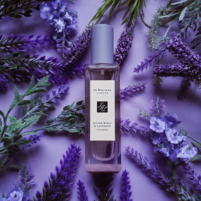 Silver Birch & Lavender - EDC