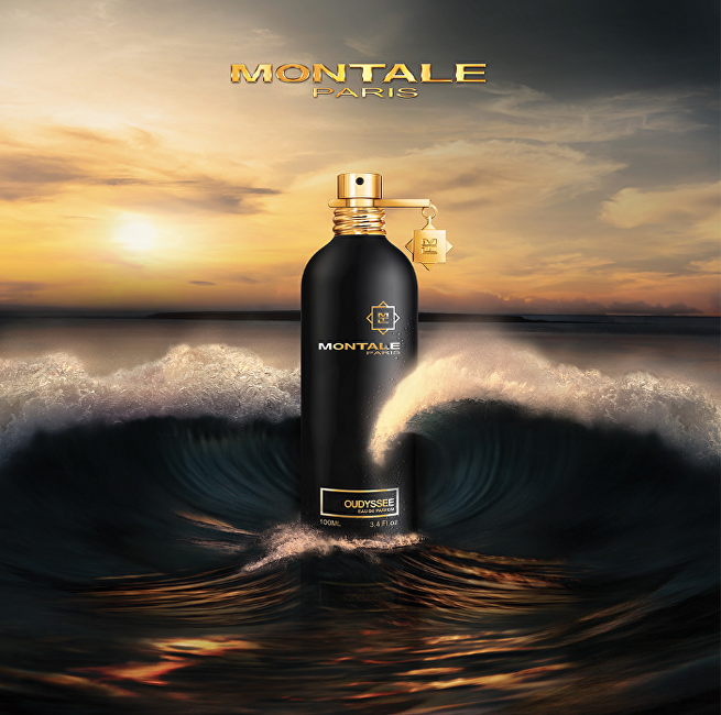 Oudyssee - EDP