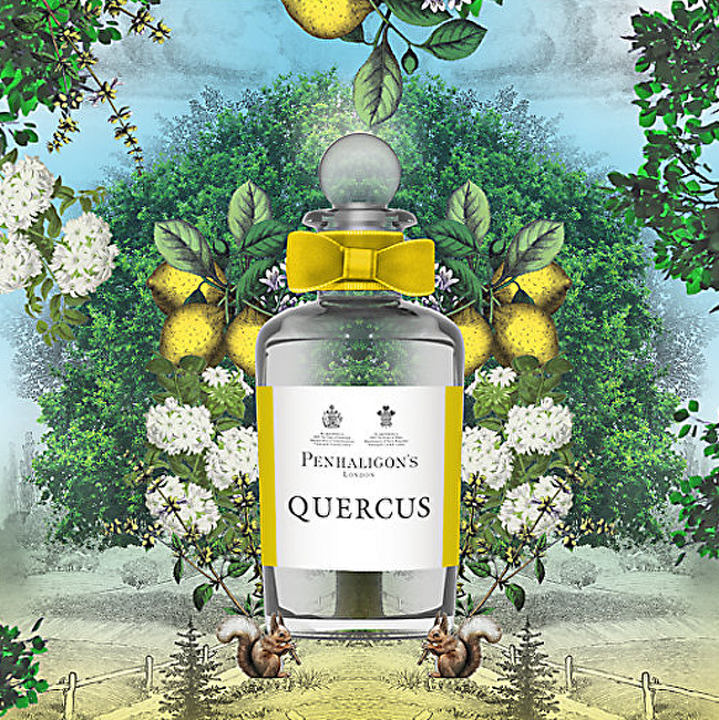 Quercus - EDC